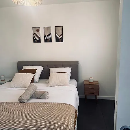 Appartement La Pinéa 40 M2 T2 Climatisation, Tram E Et Parking