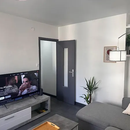 Appartement La Pinéa 40 M2 T2 Climatisation, Tram E Et Parking